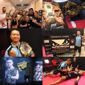 mma_mix_img