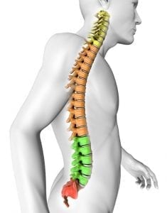 Spinal Physiotherapy